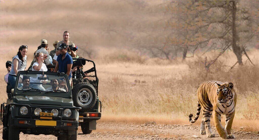 Viaja en familia a la India