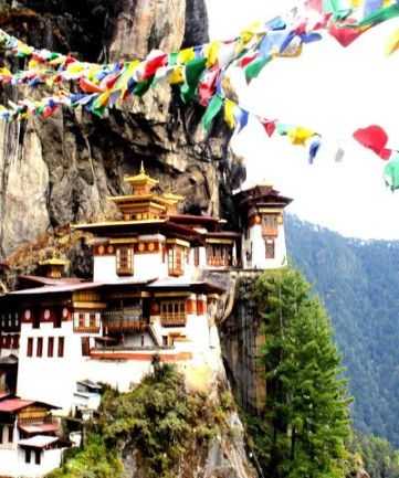 Paro