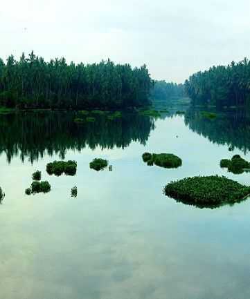 Thiruvananthapuram
